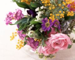 Tapeta Nature Flowers 180.jpg